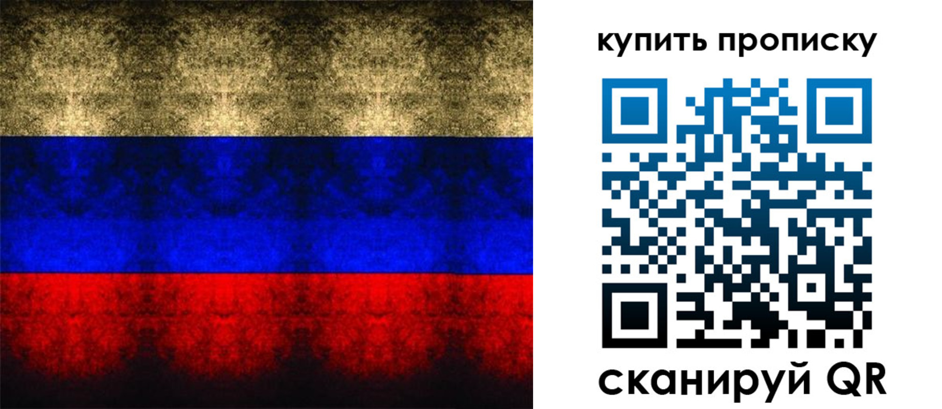 прописка в Новом Осколе